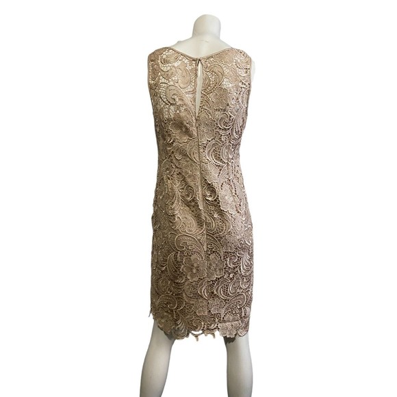 Adrianna Papell Womens Gold Champagne Lace Dress Size 6 - Picture 2 of 12